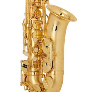 C1105AGBG Eb Saxophone(Gold)