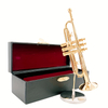 Trumpet G/L