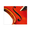 Top Grade Chinese Wood,Fully Handmade By Master Wu's Top Apprentices, (CV230A)