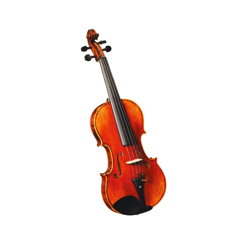 Oil-varnished European Flamed Tone Wood Violin (CV200EU)