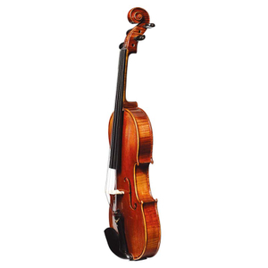 Nicely Flamed European Tonewood Violin (CV220EU)