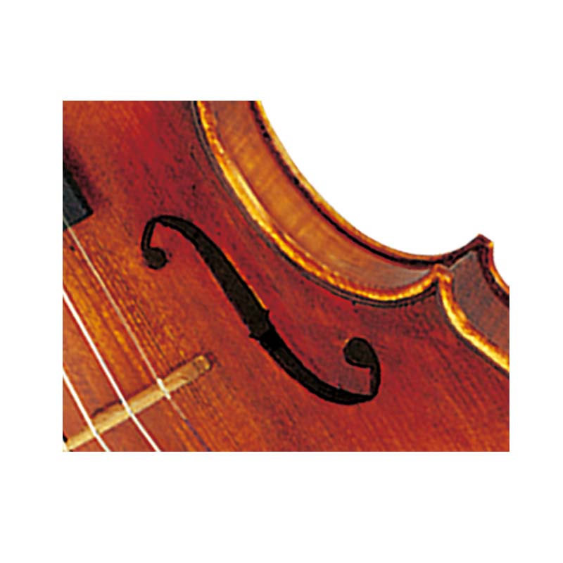 Antique Finished Highly Flamed Tone Wood Violin (CV230)