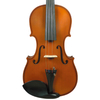 European Material Nature Dried Tonewood Violin (CV100)