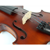 Spruce Top, Maple Back & Sides, Viola (CV1013AT)