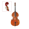 Laminated spruce top; Laminated linden back & sides Bass (CB6071)