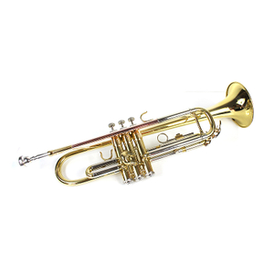 C5000 Bb Trumpet Solid Phosphorus Bell
