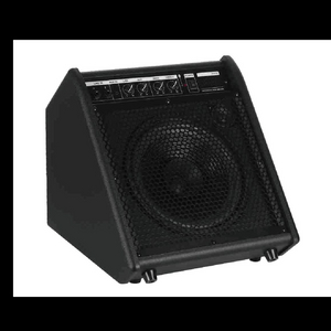 DA10 Drum Amp.