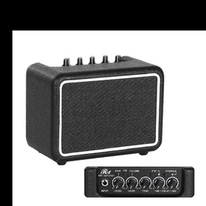 R1 Mini Amp.