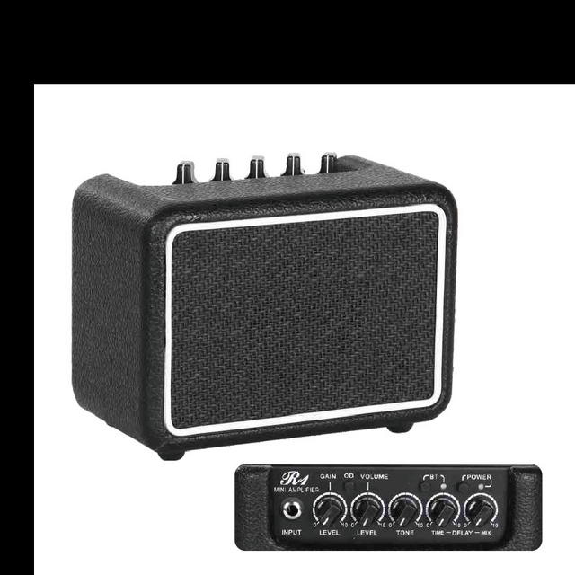 R1 Mini Amp.