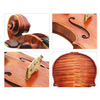 Fully Handmade by Master Super Sound Violin (CV260)