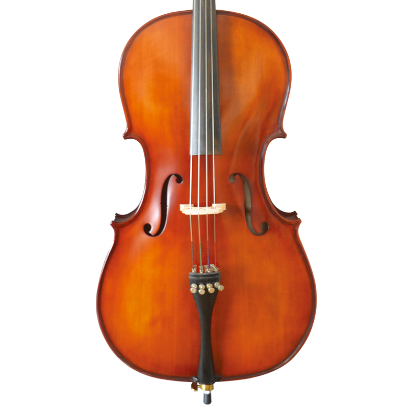 Laminated maple Solid wood, Cello with ebony fittings (CC6015)