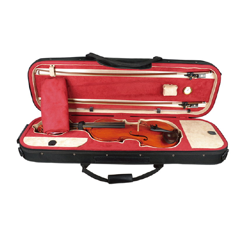 Strongly Light-weight Oblong Violin Case (VLS95HS)