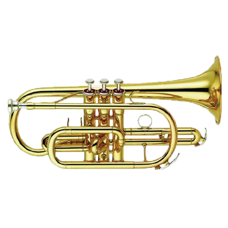 C2102H CORNET