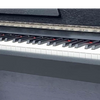 B-99 88 KEYS DIGITAL PIANO