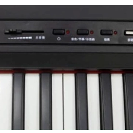 S-196 88 KEYS DIGITAL PIANO