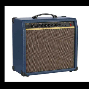 PAN30 Guitar Amp.