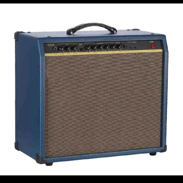 PAN60 Guitar Amp.