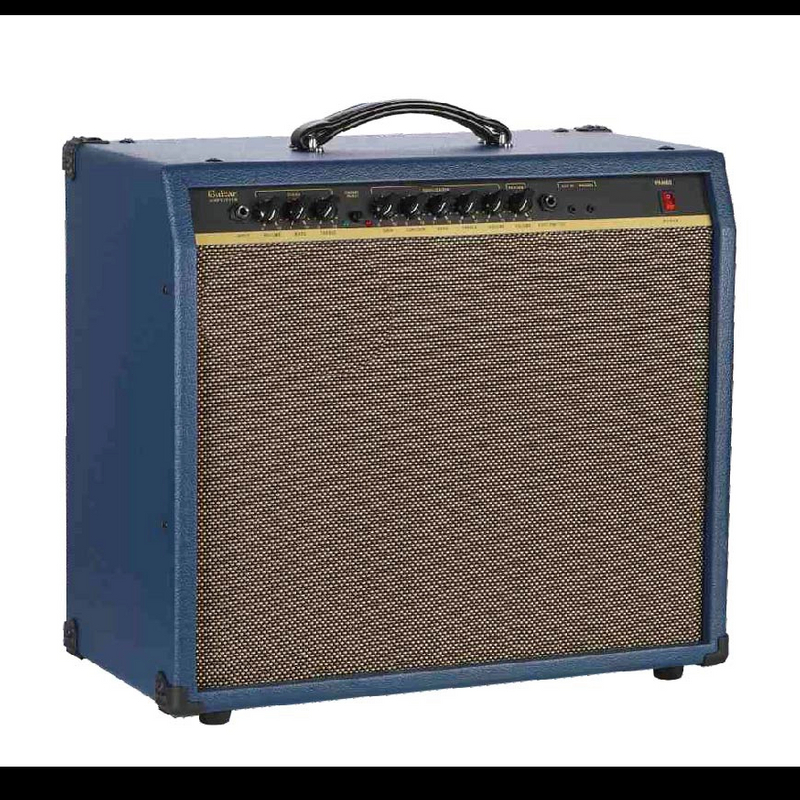 PAN60 Guitar Amp.