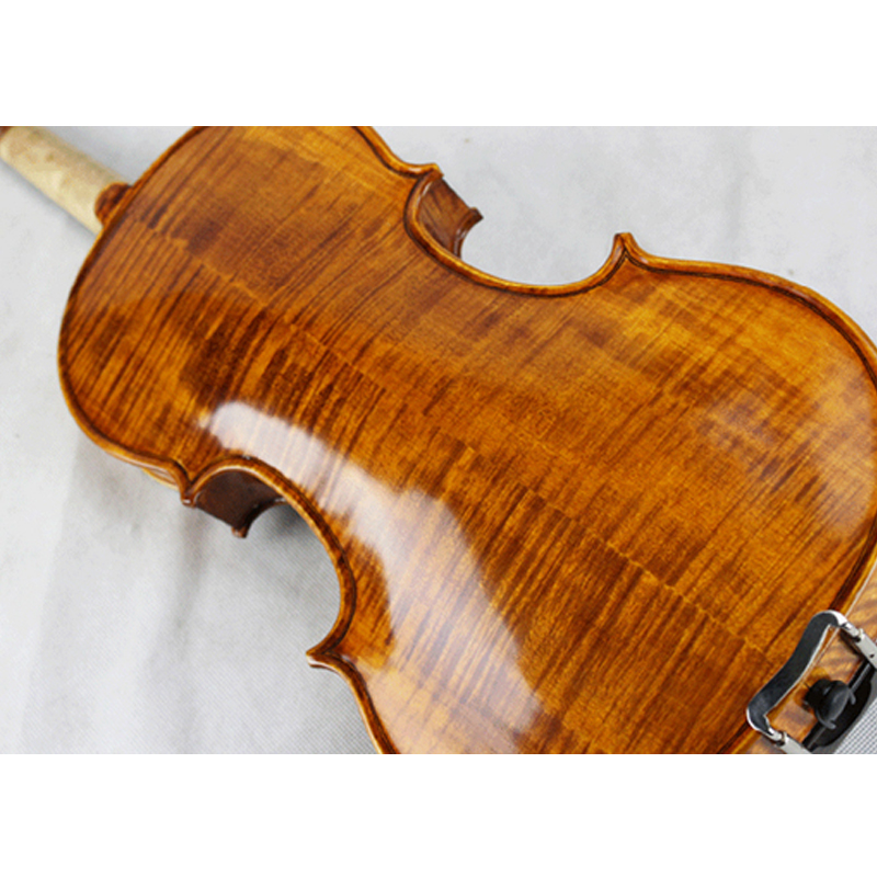 Solid Wood Carved Spruce Top, Flamed Maple Back & Sides Antique Gloss Viola (CV1016SG)