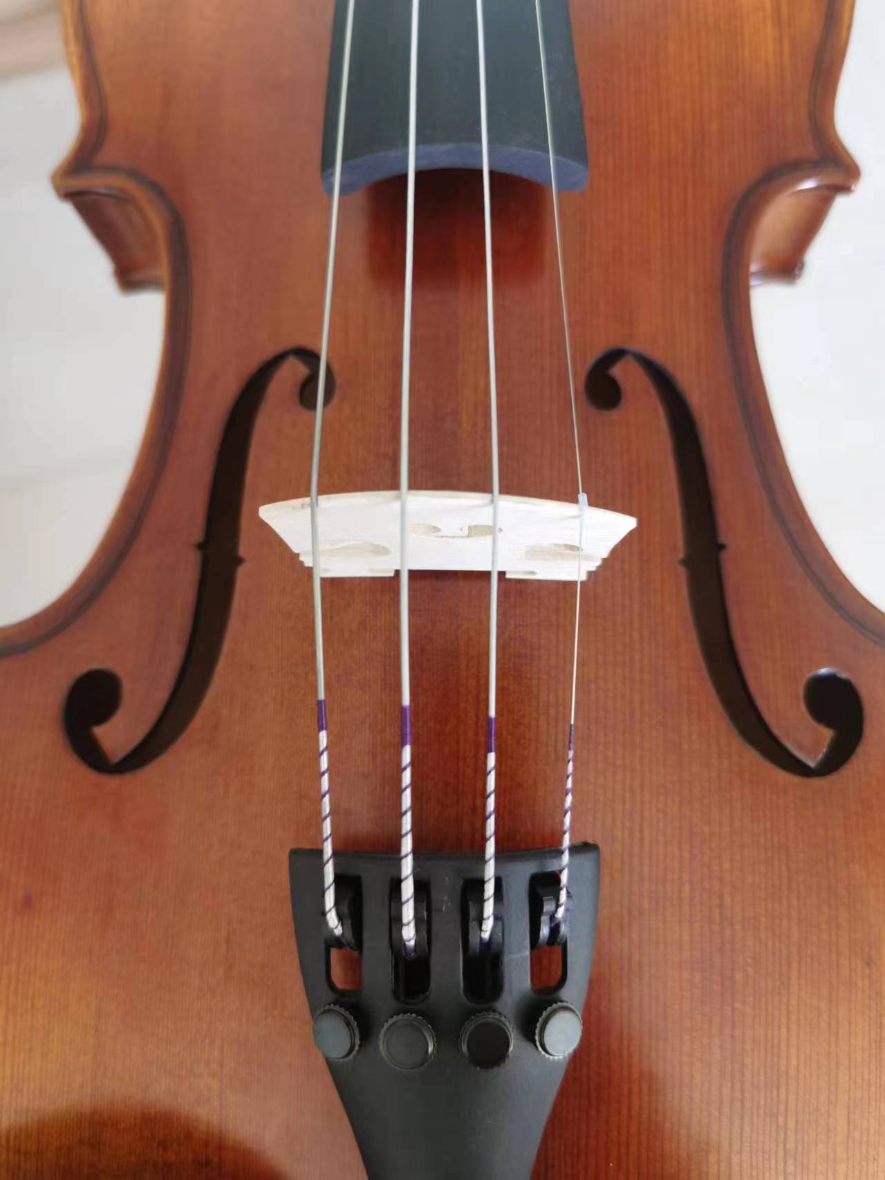 Violin E String (CASV60)