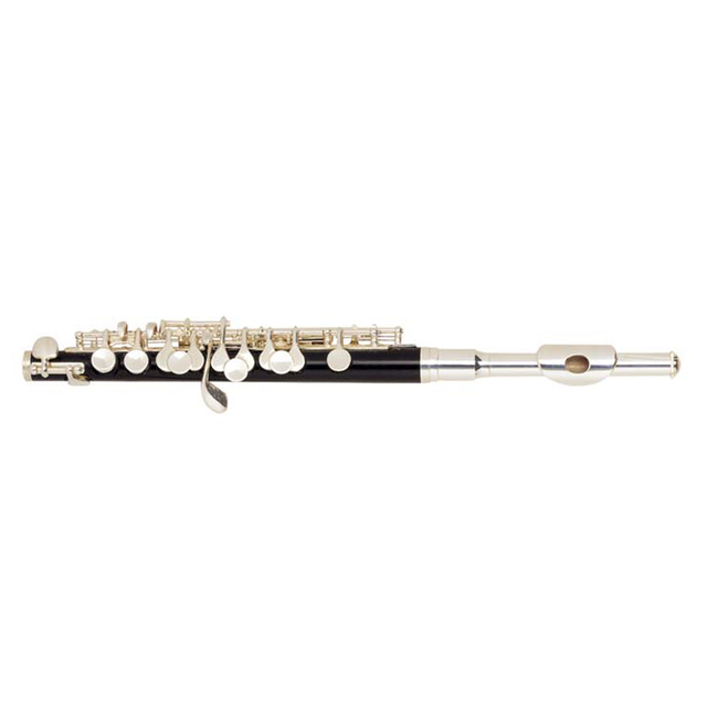 C1108S ABS Piccolo C