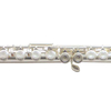 C1116CK Curved Headjoint C Flutes Closed Hole 16 Keys Flute for Beginner Kids Student Flute Instrument