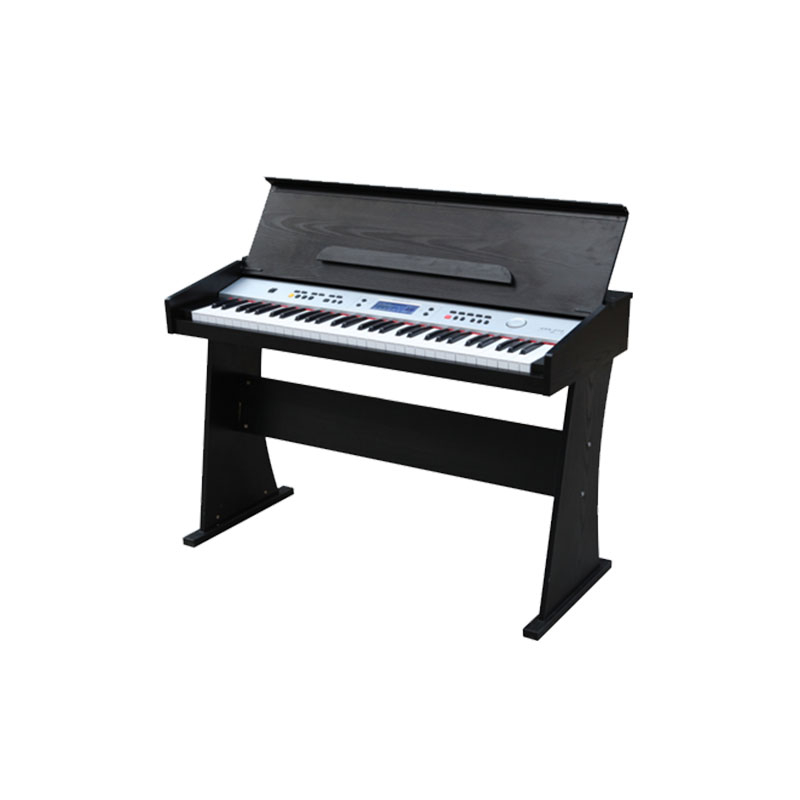 ARK819 61 KEYS DIGITAL PIANO