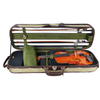 Strongly Light-weight Violin Case (CCVW9621 )
