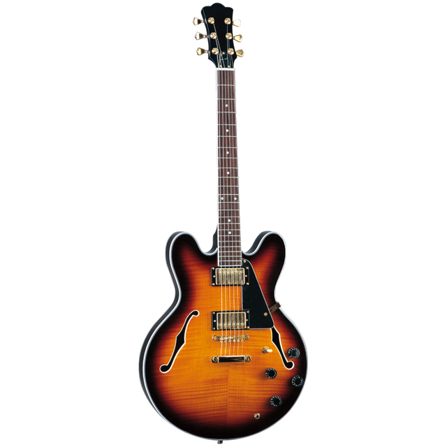 E150 ELECTRIC GUITAR