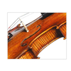 Fully Handmade by Master Wu′s Select Apprentices Violin (CV250)
