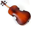 Spruce Top, Maple Back & Sides, Viola (CV1013AT)