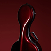 Hydrographic carbon fiber cello case CCCC46H