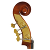 Fully carved solid spruce top; Carved flamed maple back & sides Double Bass (CB6076)