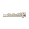 C1116HB With 