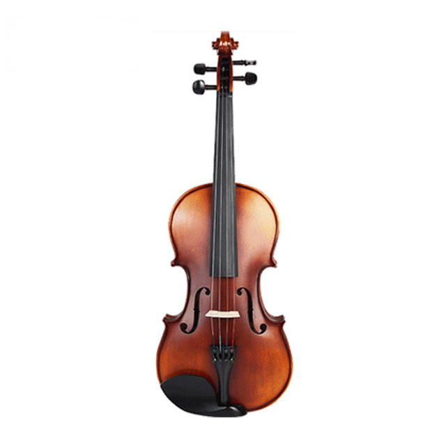 Spruce Top, Maple Back & Sides, Viola (CV1013AT)