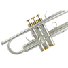 C5211MS Spread The Silver Plated Trumpet