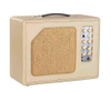 KINDLE-40 Easy carry Amp.