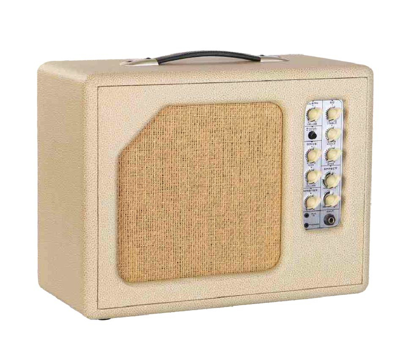 KINDLE-40 Easy carry Amp.