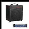 GAIA-30 Bass Amp.