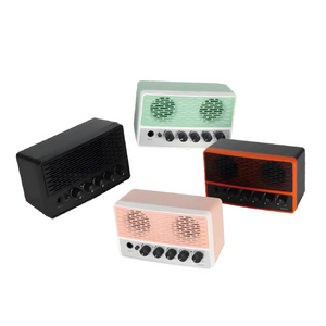 GA202 Mini Amp.