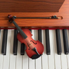 Violin wood