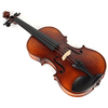 Spruce Top, Maple Back & Sides, Viola (CV1013AT)