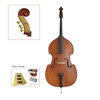 Carved solid spruce top; Carved flamed maple back & sides Double Bass (CB6073)