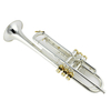 C5211MS Spread The Silver Plated Trumpet