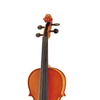 CV1418P Beethoven's head Violin