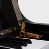 B-98 88 KEYS DIGITAL PIANO