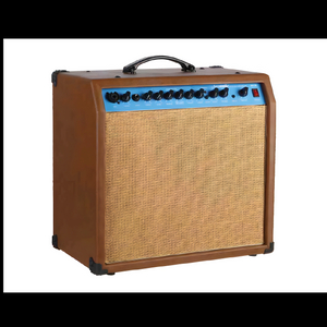 WA-30 Acoustic Amp.
