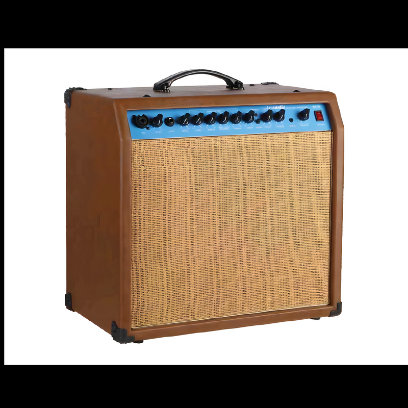 WA-30 Acoustic Amp.