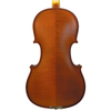 European Material Nature Dried Tonewood Violin (CV100)