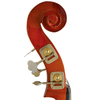 Laminated spruce top; Laminated linden back & sides Bass (CB6071)
